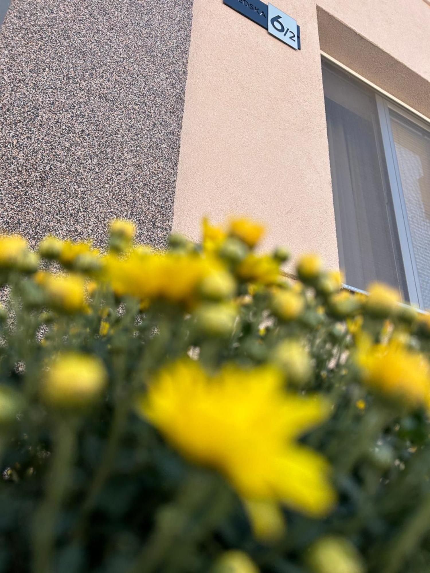 Apartman Tara Subotica Exterior photo